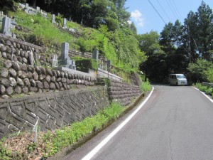 IMG_0537