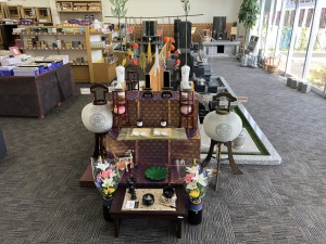 IMG_0552