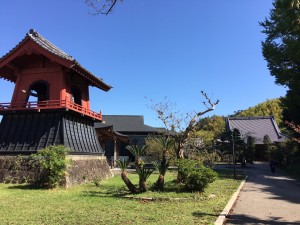IMG_0591