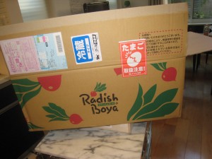 ラディッシュ