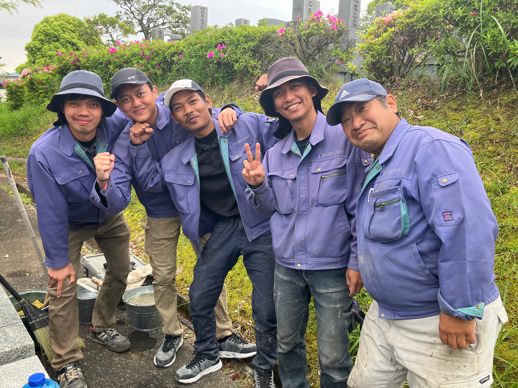 ニューフェイス