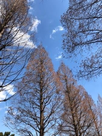 東京観光