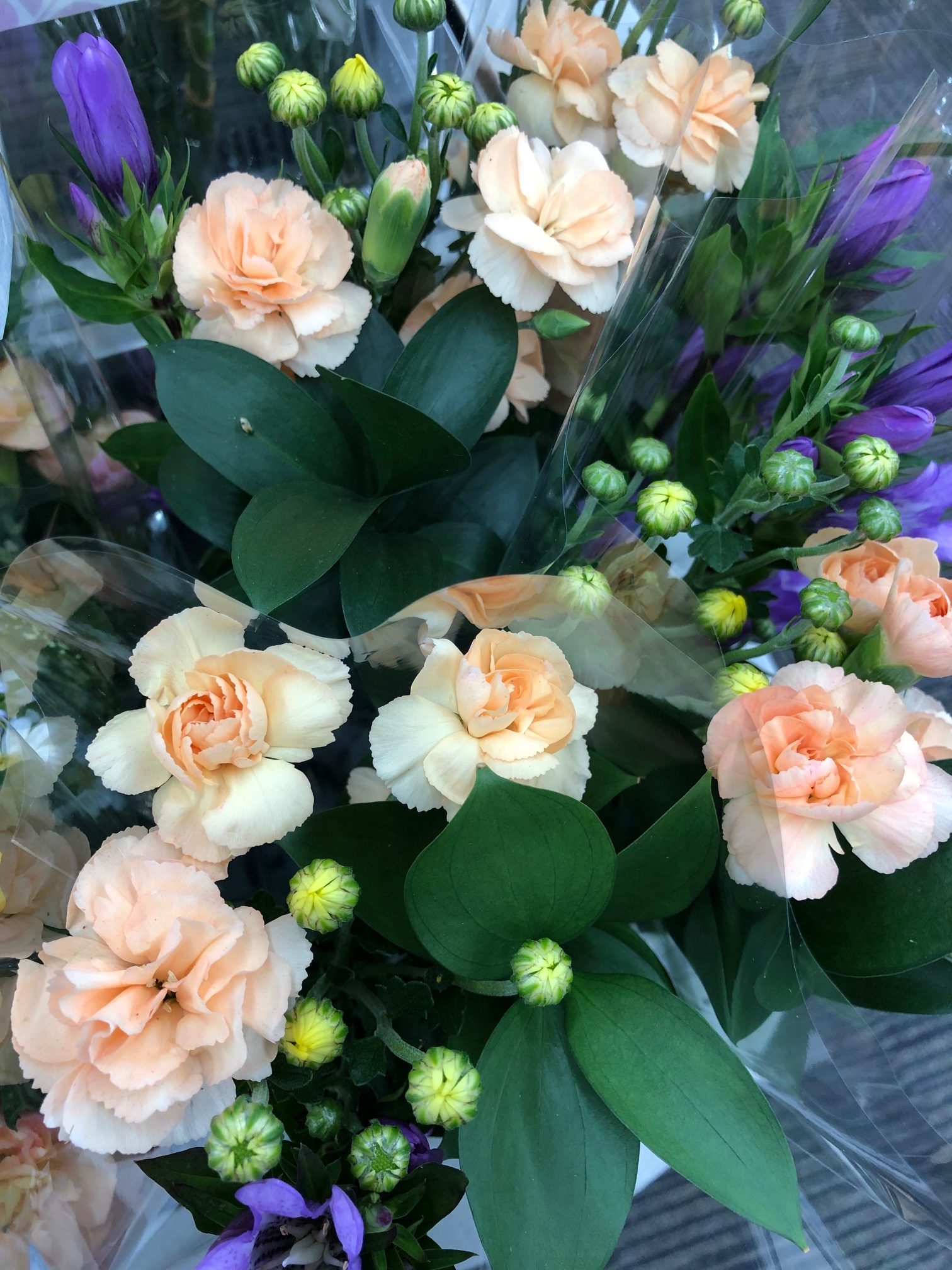 今週のお花です。