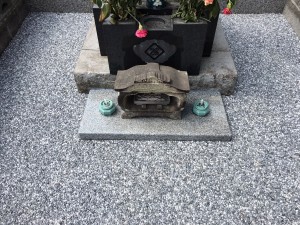 IMG_1354