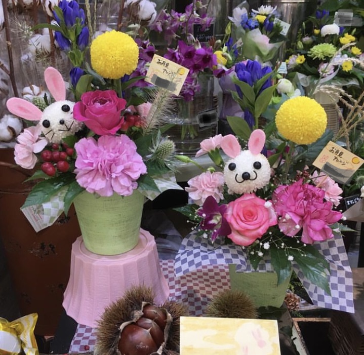 菊を愛でる