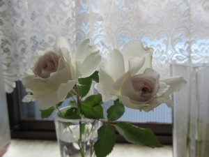 裾野の自然の中で