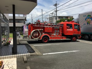 IMG_1482