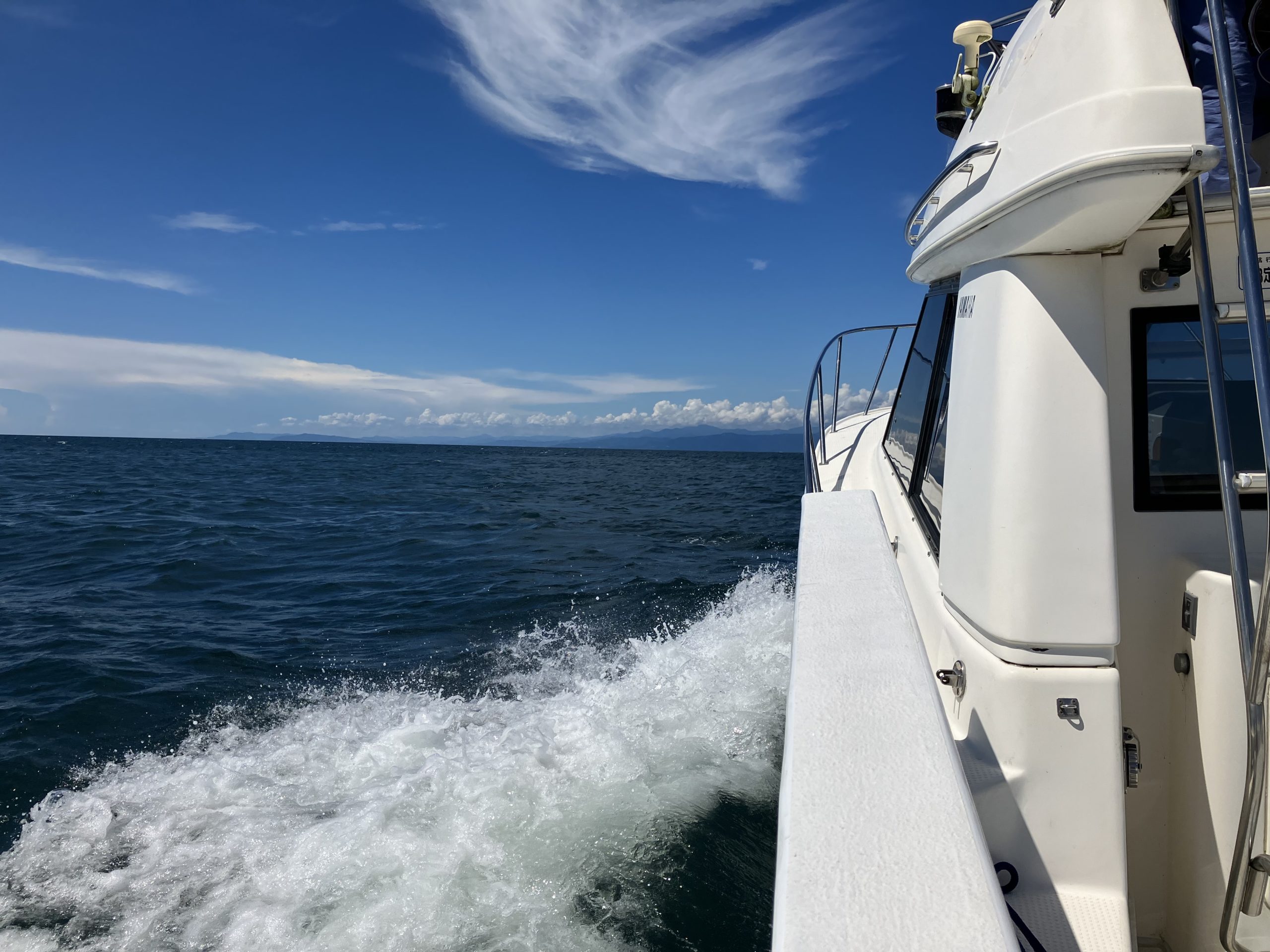 沼津港海洋散骨