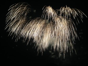 IMG_5290