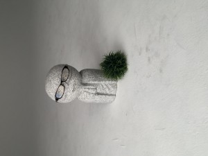 IMG_5764