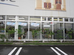 裾野の自然
