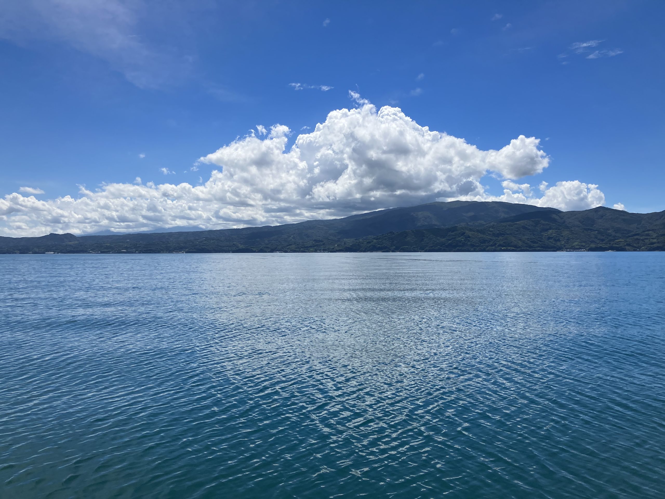穏やかな駿河湾