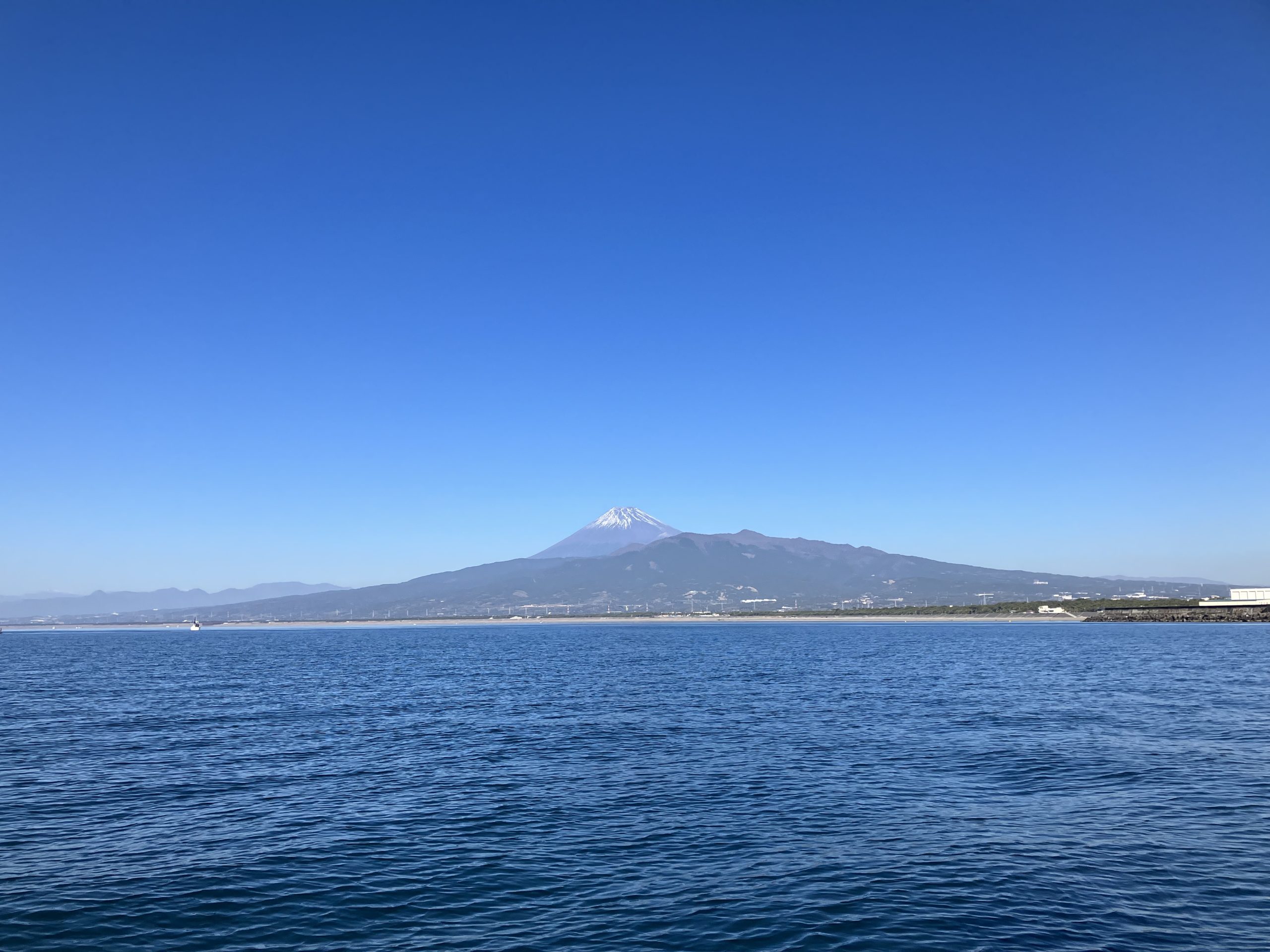 沼津港　海洋散骨
