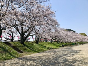 IMG_E0638