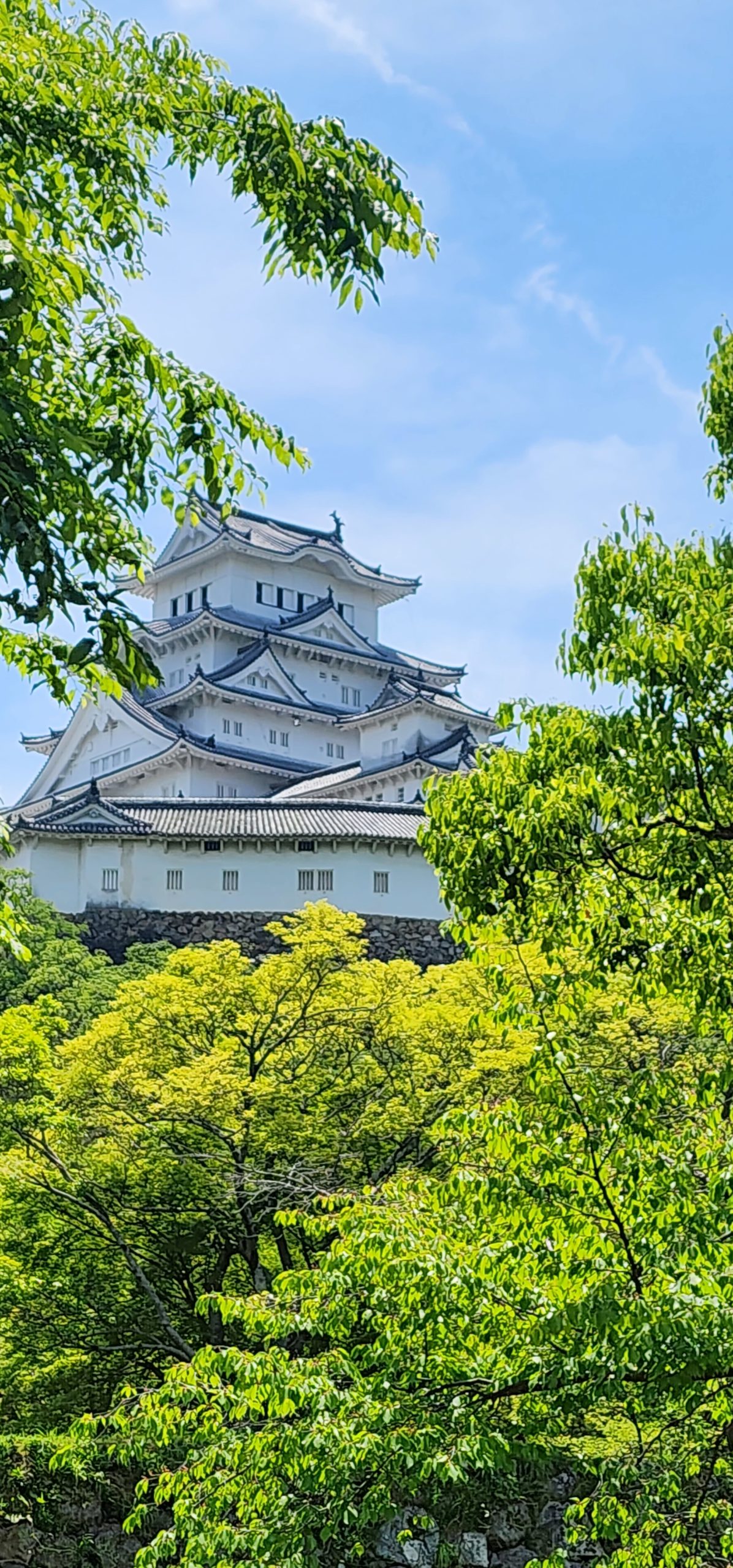 新緑の姫路城