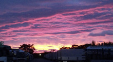 ★夕焼けきれいでしょ★