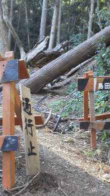 ほのぼの日記 やまきスタッフブログ