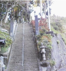 ほのぼの日記 やまきスタッフブログ