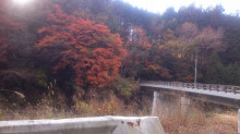 私の楽しみ
