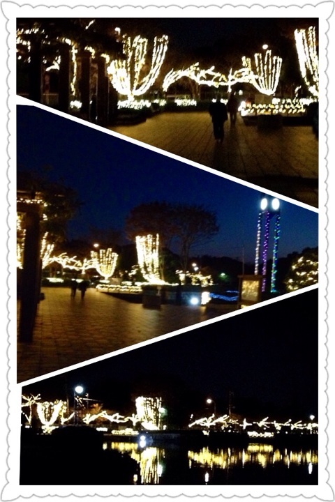 photo:02