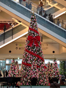 クリスマス前の旅行