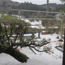 裾野の山の中か