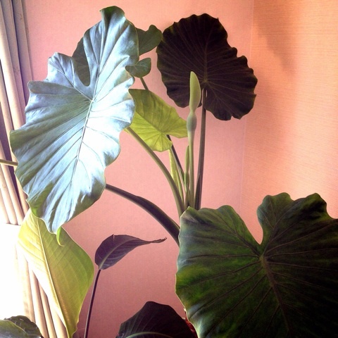 photo:02