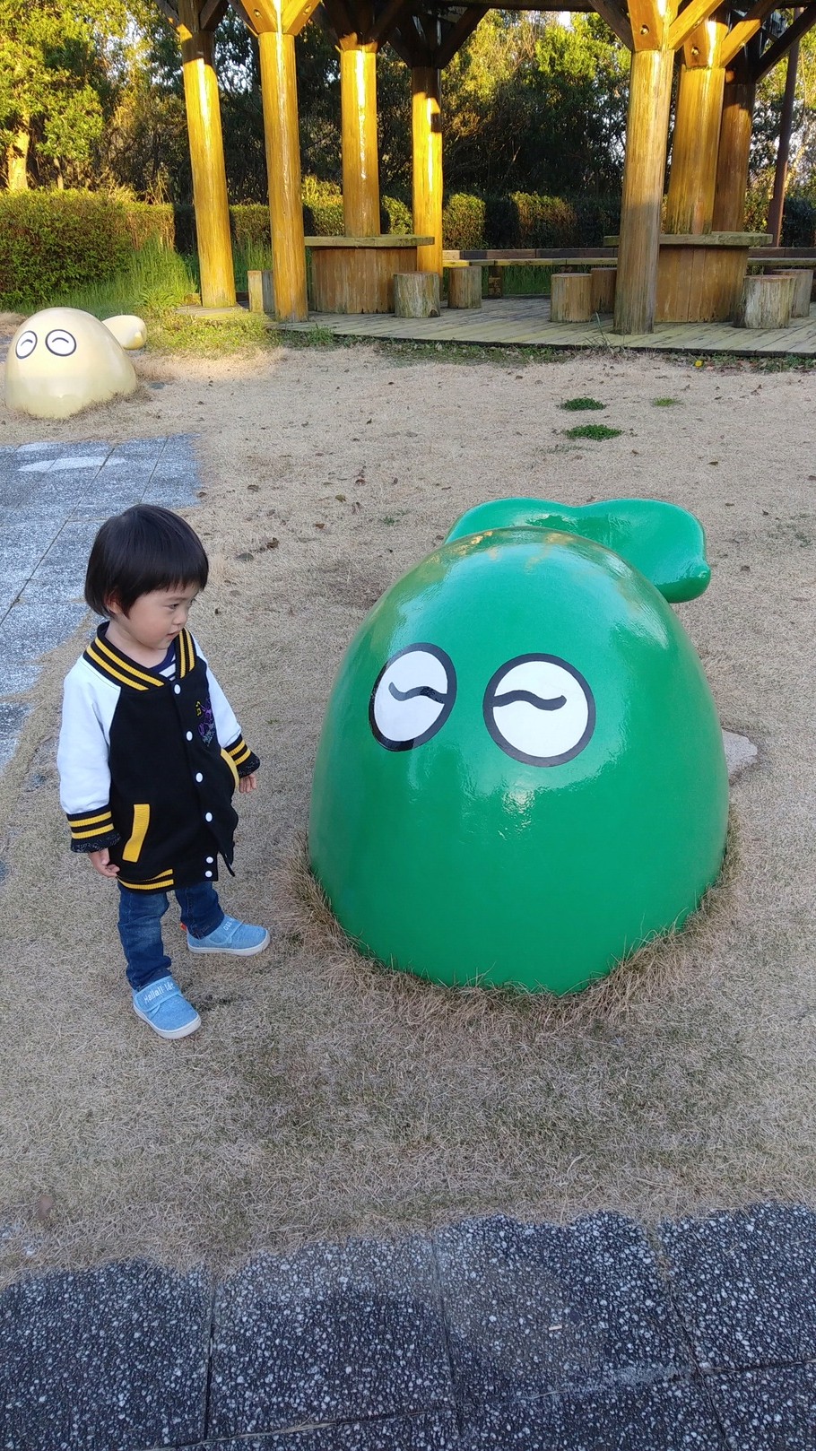 高知