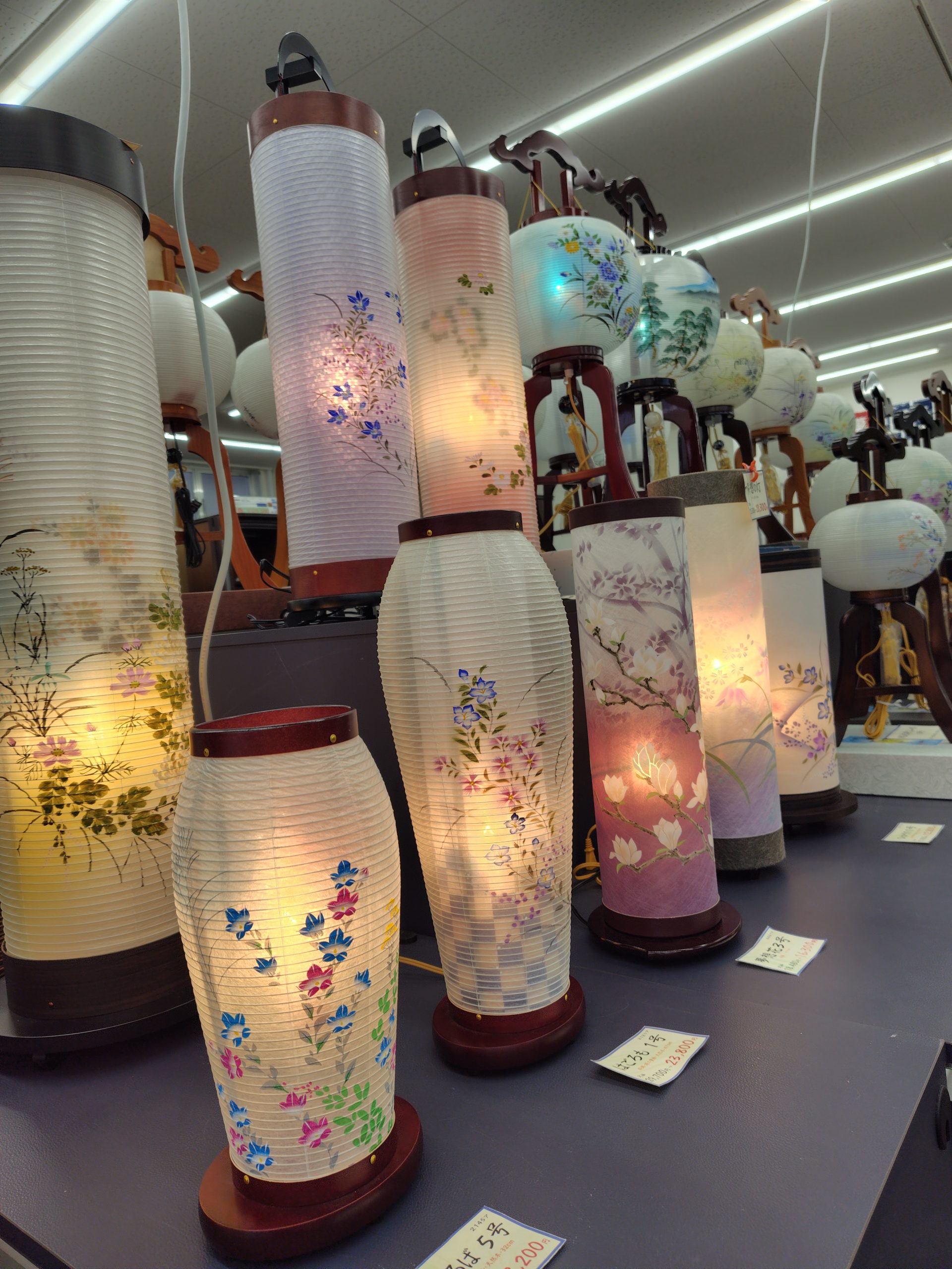 盆提灯の展示始めました。