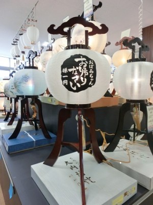 CIMG2343-小