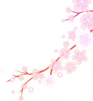 flower1600