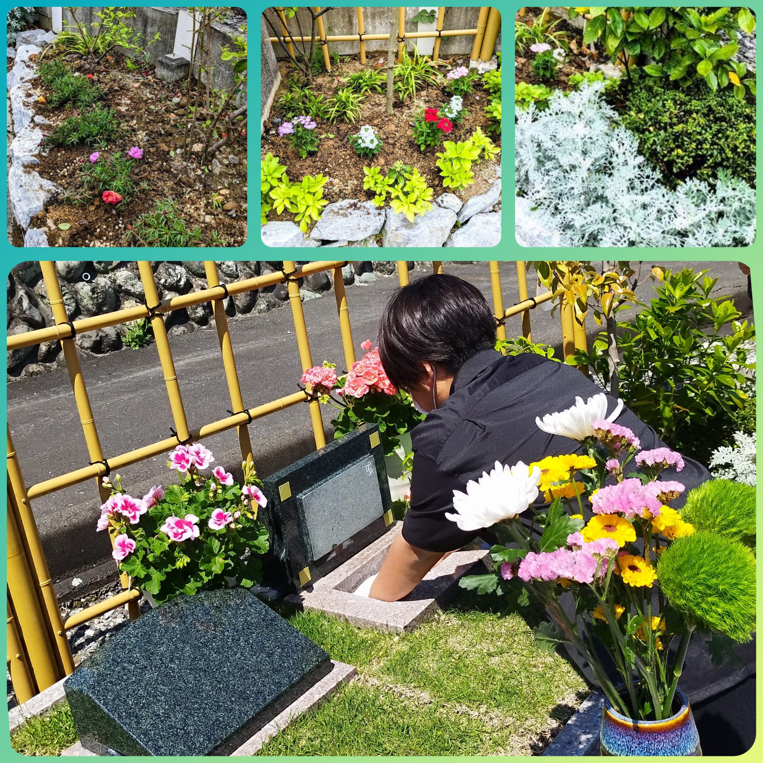 画像に alt 属性が指定されていません。ファイル名: InCollage_20240508_151608055-scaled.jpg
